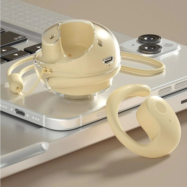 AI-Powered Translation Earbuds